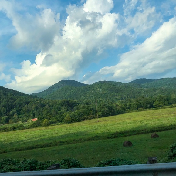 Meet your Posher, Brittany - Picture 1 of 1